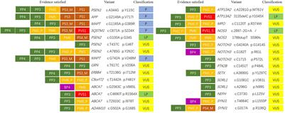 Analysis of Genotype-Phenotype Correlations in Patients With Degenerative Dementia Through the Whole Exome Sequencing